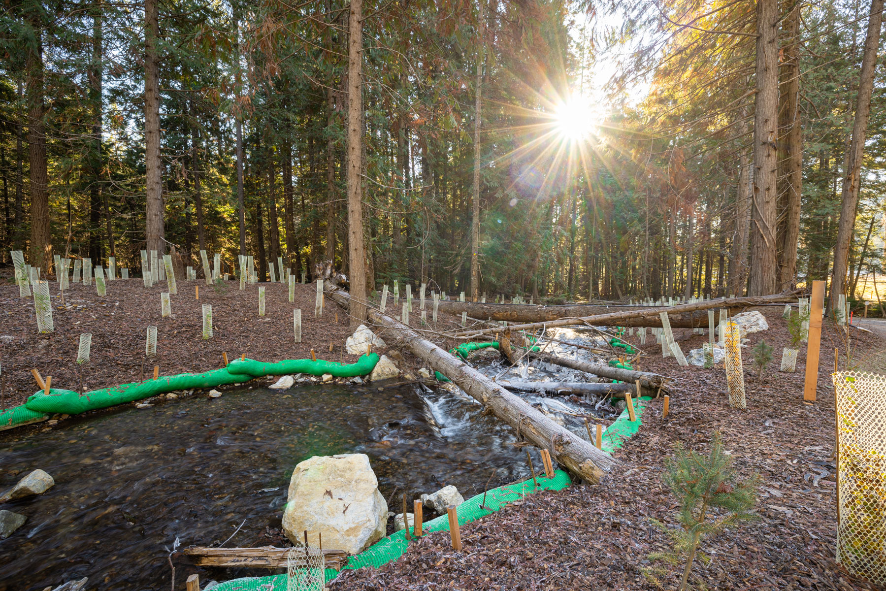 Native Salmonid Conservation Facility – Usk Fish Hatchery 3