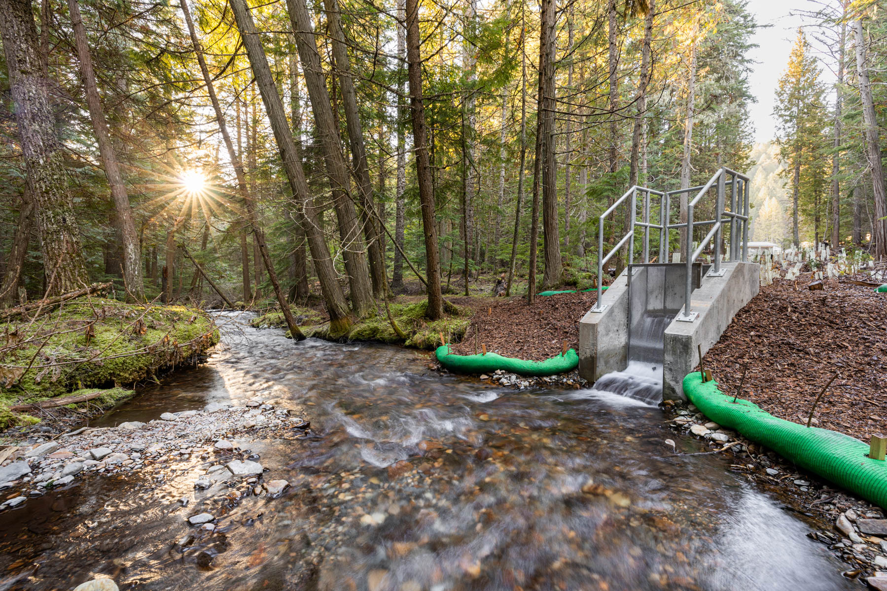 Native Salmonid Conservation Facility – Usk Fish Hatchery 2